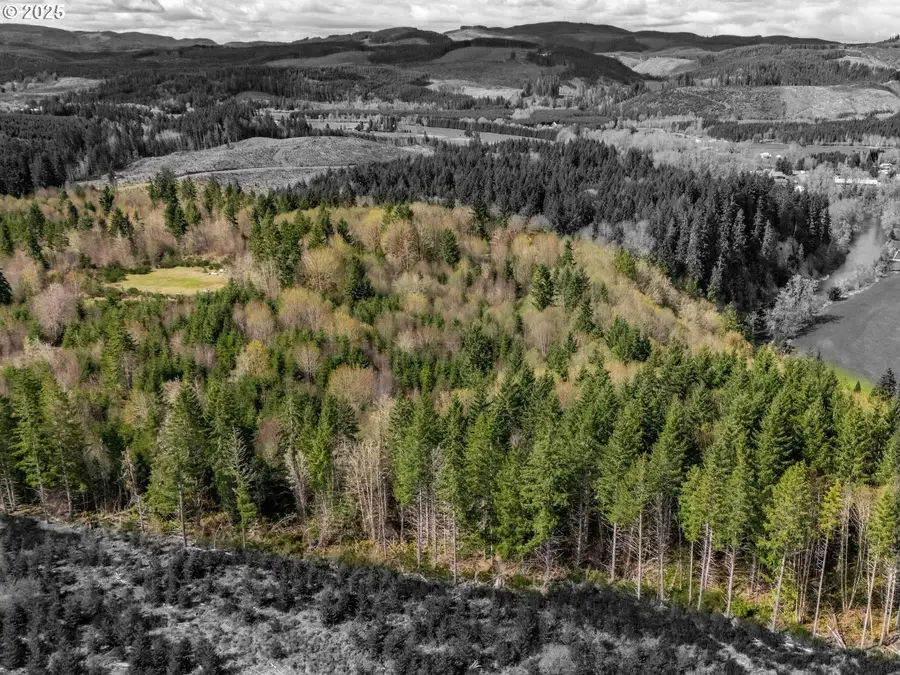 Wallace Rd, Clatskanie, OR 97016 - Image #2