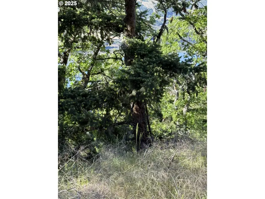 Coyote Ct #Lot43, Mosier, OR 97040 - Image #2
