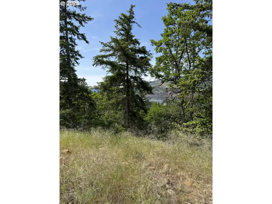 Coyote Ct #Lot43, Mosier, OR 97040 - Image #3