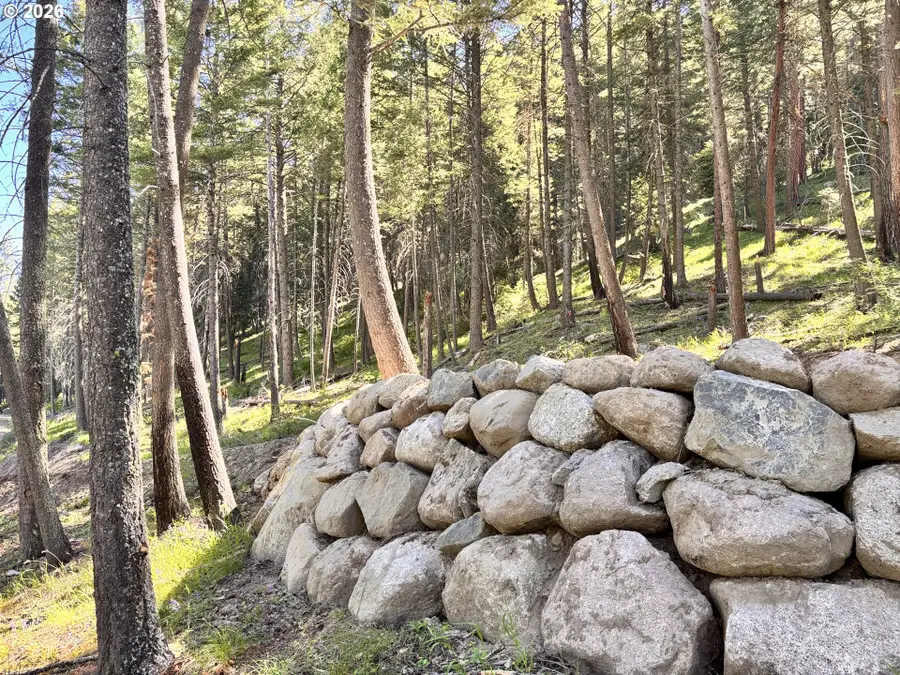 Arapahoe Rd, Joseph, OR 97846 - #2
