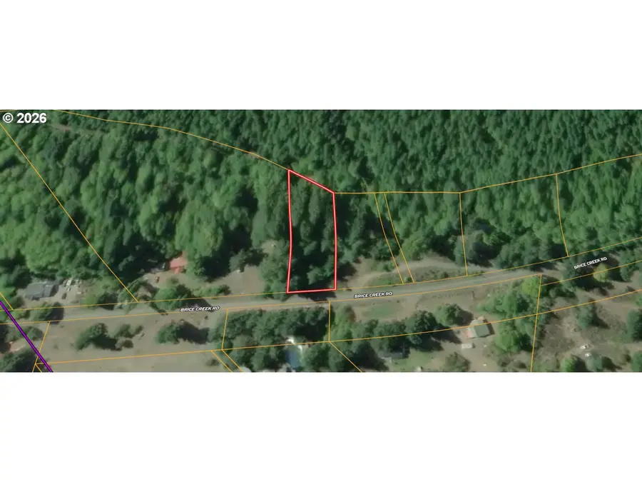 Brice Creek Rd, Dorena, OR 97424 - #2