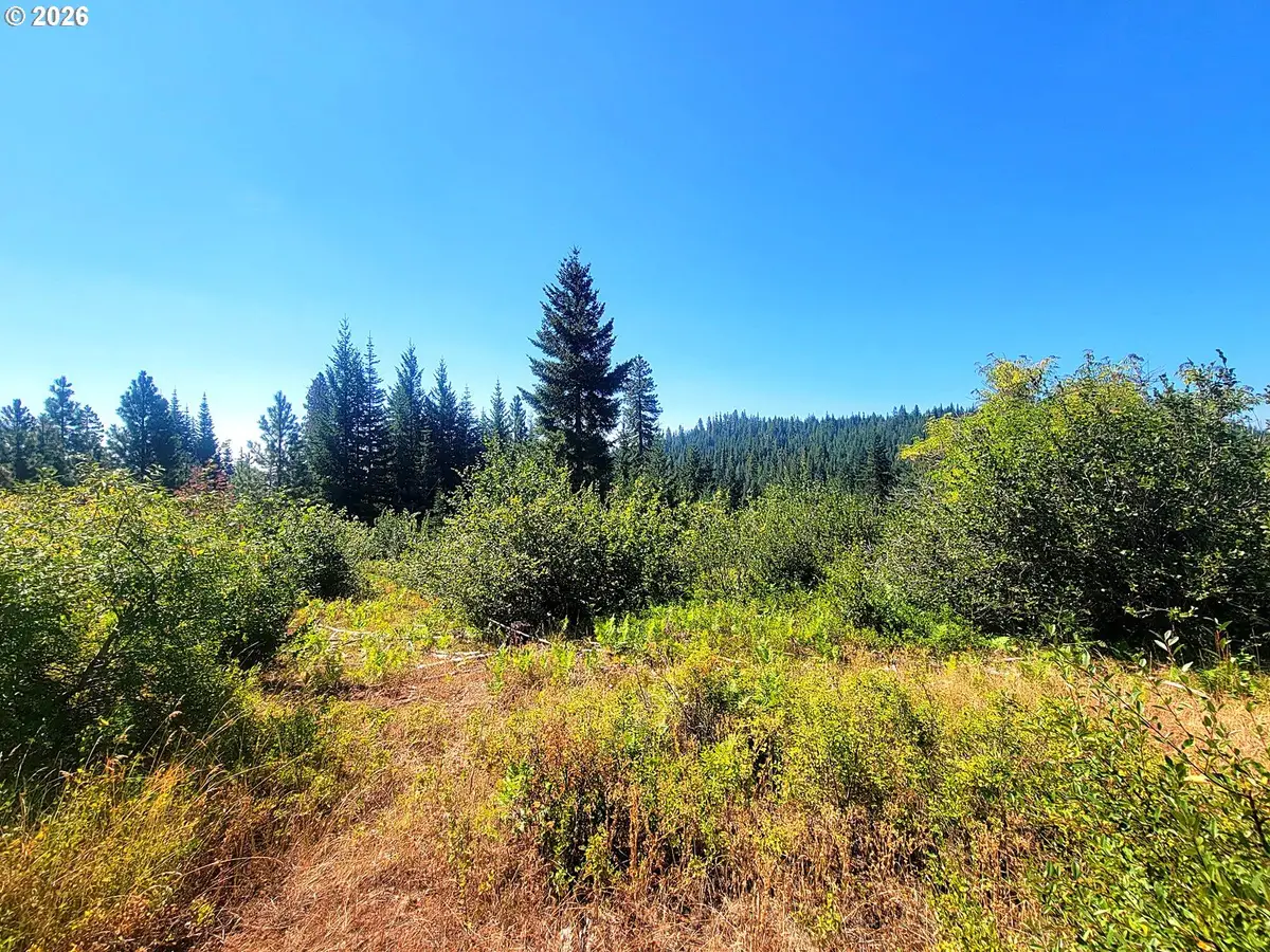 1 Simcoe Mtn Rsrv, Goldendale, WA 98620 - #1