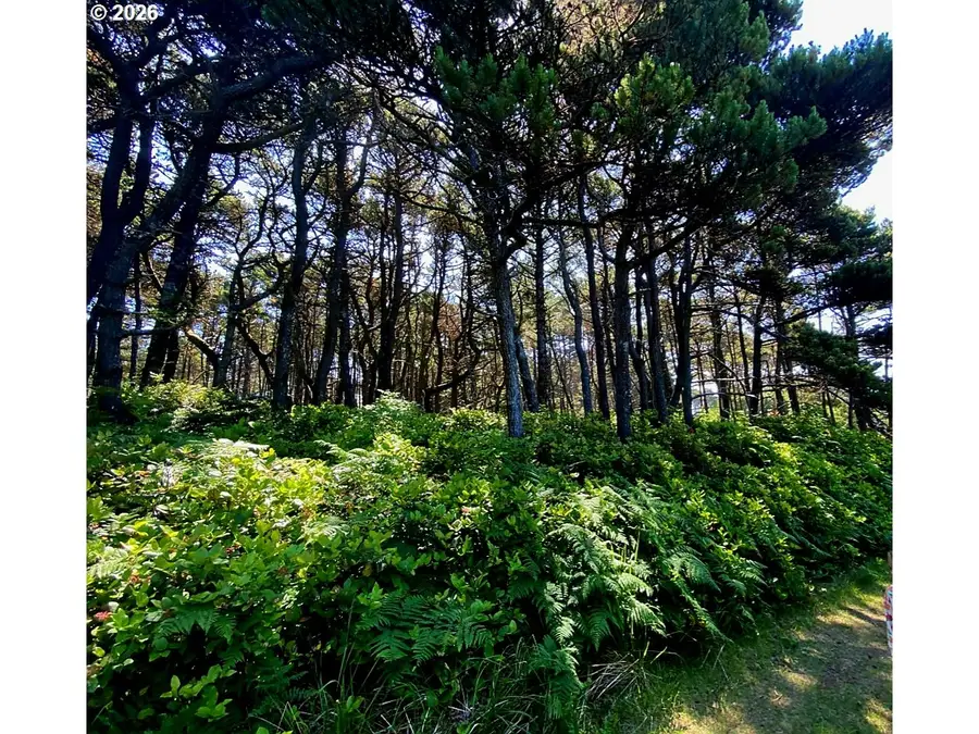 Sea Way Loop, Waldport, OR 97394 - #2