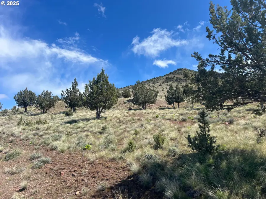 SW Wanker Ln, Culver, OR 97734 - Image #3