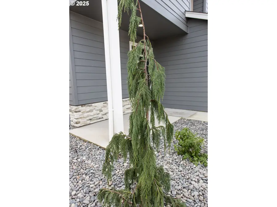 12819 NE 109th St, Vancouver, WA 98682 - Image #2