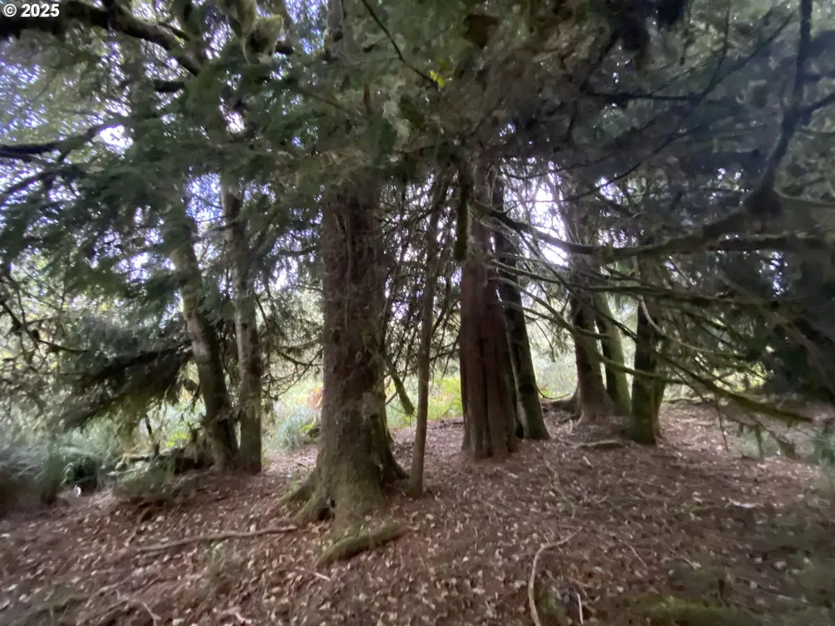 Dellmoor Loop, Warrenton, OR 97146 - Image #1