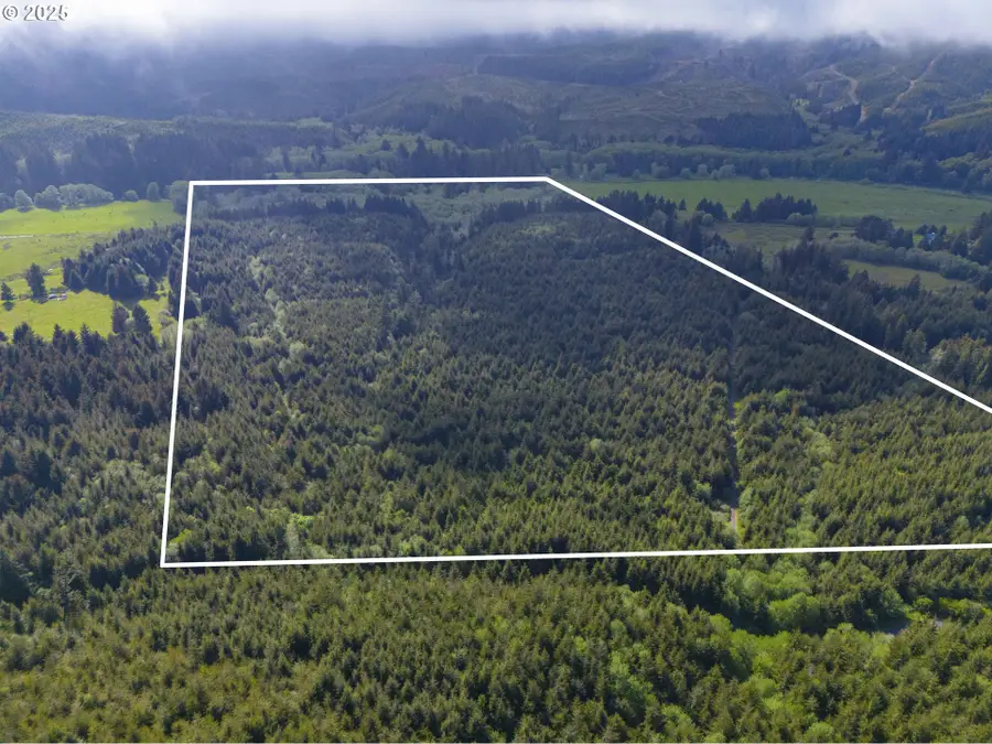 0 Elmer Miller Rd, Siletz, OR 97380 - Image #2