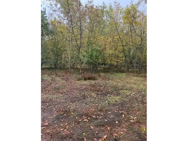 Mountain Home Dr, Brownsville, OR 97327