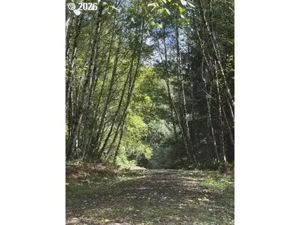 Land End Of Beech St, Cannon Beach, OR 97110 - #2