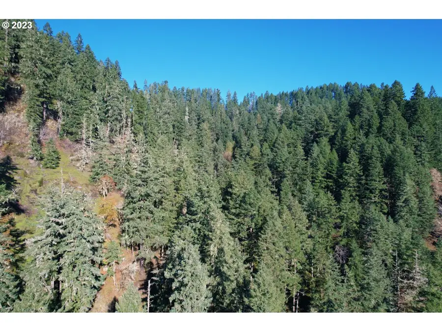 0 State Highway 38, Elkton, OR 97436 - #3