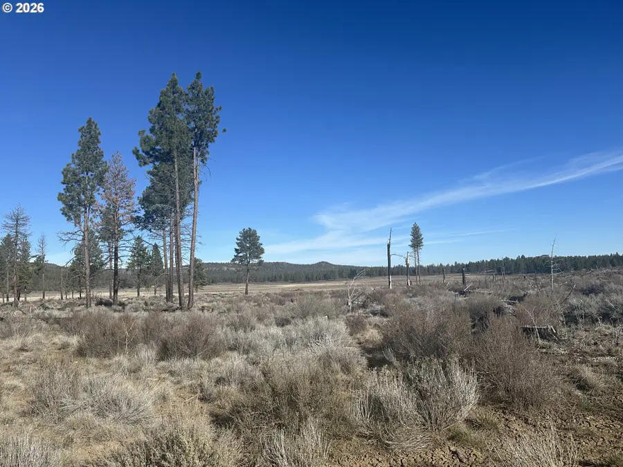 Ruffed Grouse #7, Chiloquin, OR 97624 - #2