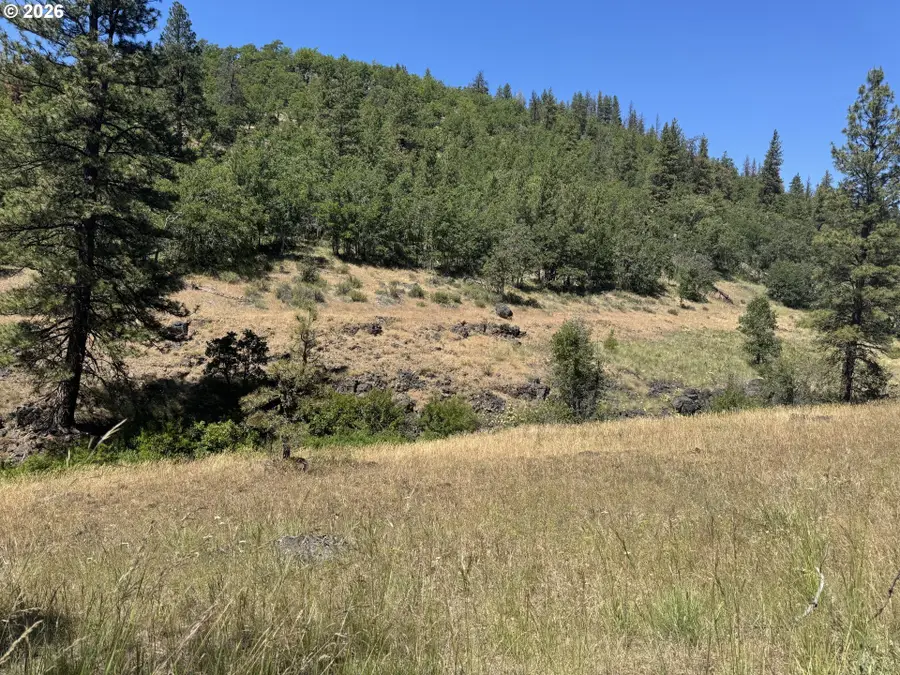 Toad Rd, Goldendale, WA 98620 - #2