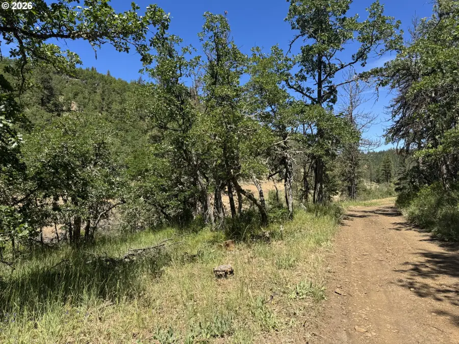 Toad Rd, Goldendale, WA 98620 - #3