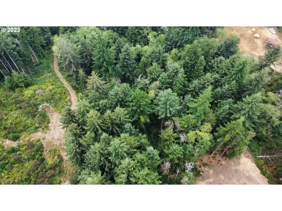 Tl 400 Erhart Rd, Florence, OR 97439 - #3