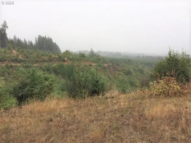 NW Ridge Rd, Buxton, OR 97116 - Image #3