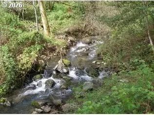 460 NW Kanaka Creek Rd, Stevenson, WA 98648 - #1