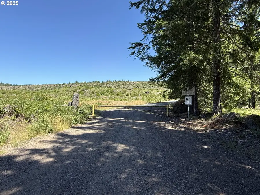 Lahar Ln #9, Cougar, WA 98616 - Image #2