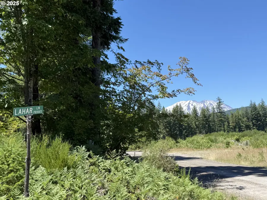 Lahar Ln #9, Cougar, WA 98616 - Image #3