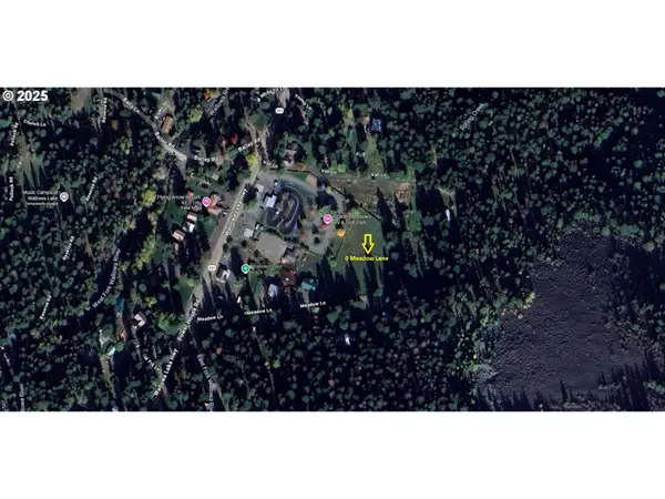 Meadow Ln, Joseph, OR 97846