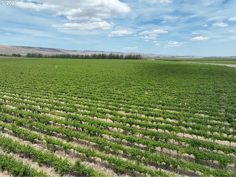 Wahluke Rd Sw, Mattawa, WA 99349 - Image #3