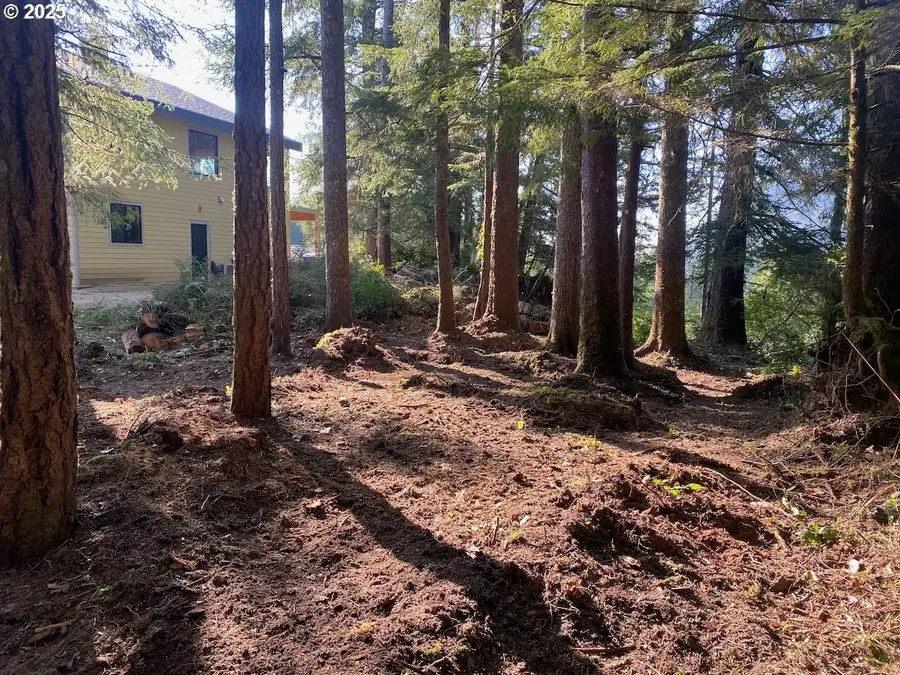 0 18th, Manzanita, OR 97130 - Image #3