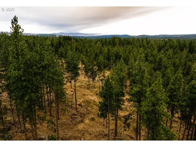 16 Indian Hill Trl, Goldendale, WA 98620 - #3