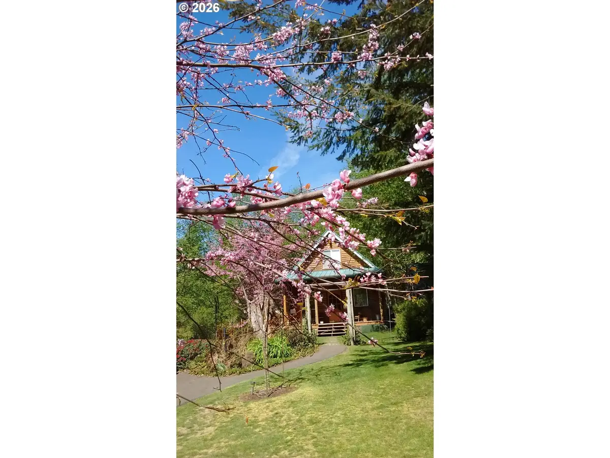 43911 NE Columbia Tie Rd, Amboy, WA 98601 - #1