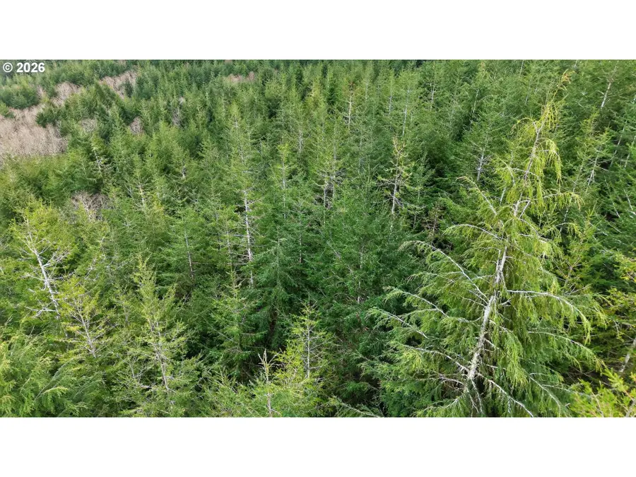 0 S Hwy 42, Coquille, OR 97423 - #2