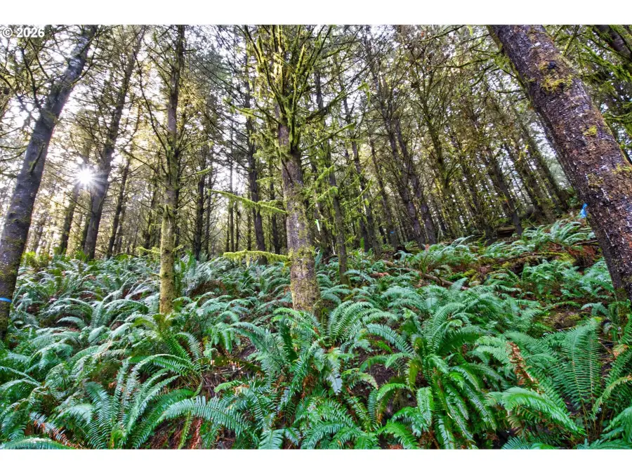 0 S Hwy 42, Coquille, OR 97423 - #3