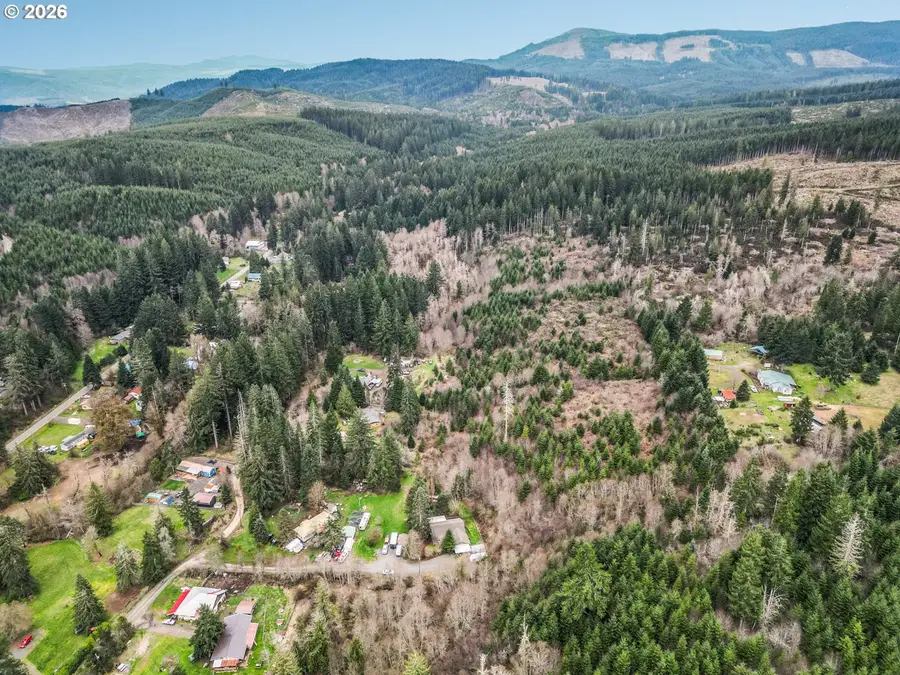 60603 NW Wilcox Dr, Timber, OR 97144 - #3