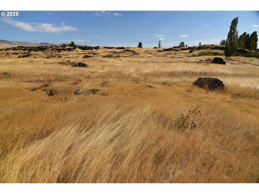 715 Garden Ln, Dallesport, WA 98617 - #3