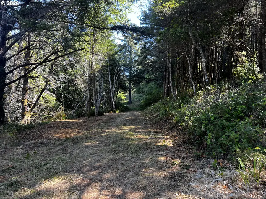 Horizon, Goldbeach, OR 97444 - #2