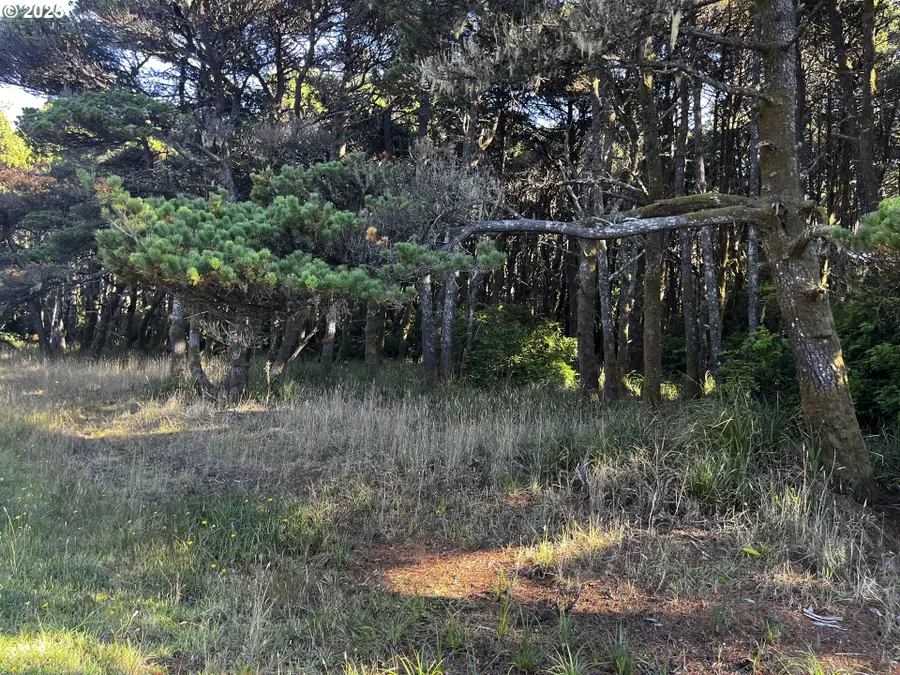 1 Lower Four Mile #1300, Bandon, OR 97411 - Image #3