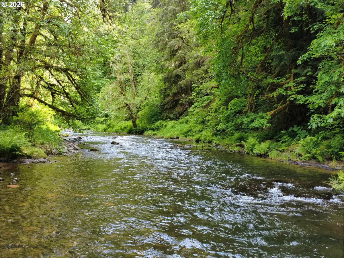 Rose Valley Rd, Kelso, WA 98626 - #1