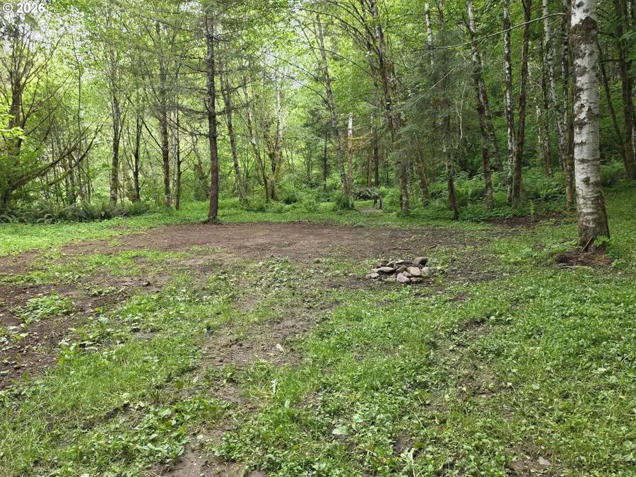 Rose Valley Rd, Kelso, WA 98626 - #3