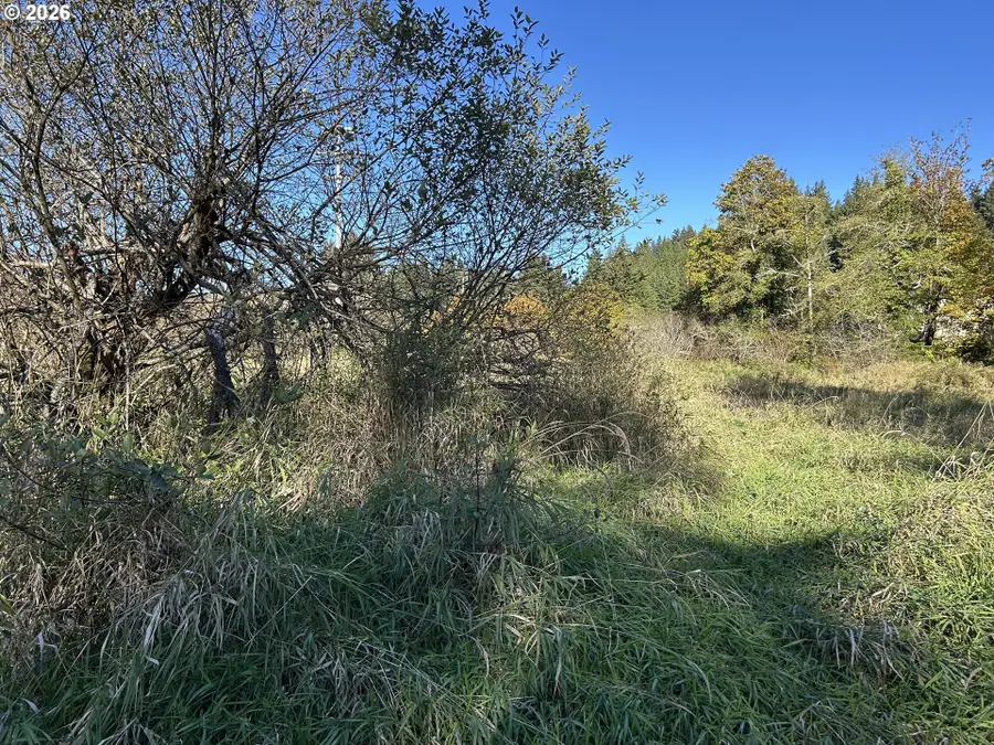 Siletz Hwy, Toledo, OR 97391 - #2