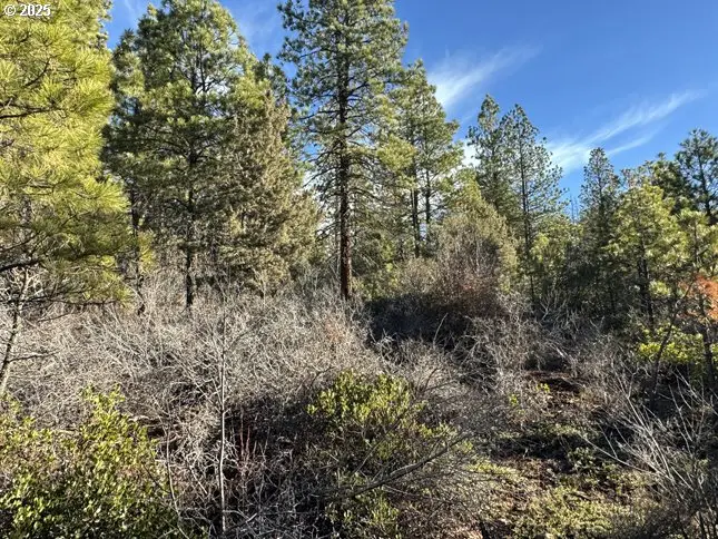 Hummingbird Dr #13, Bonanza, OR 97623 - Image #2