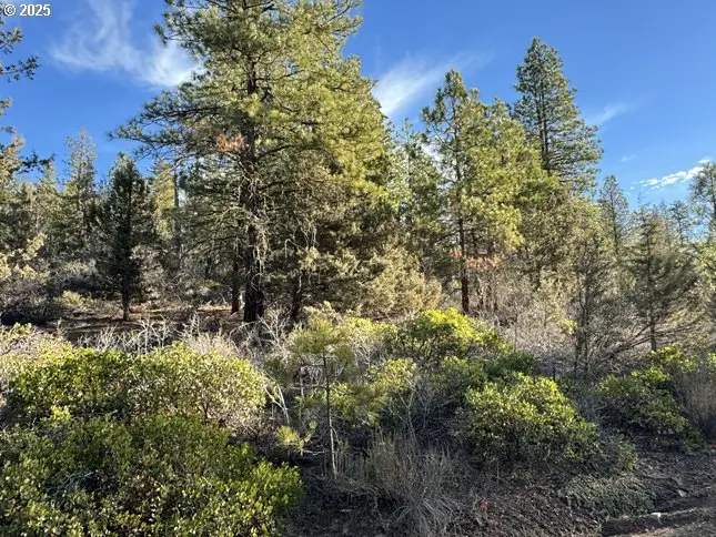 Hummingbird Dr #13, Bonanza, OR 97623 - Image #3