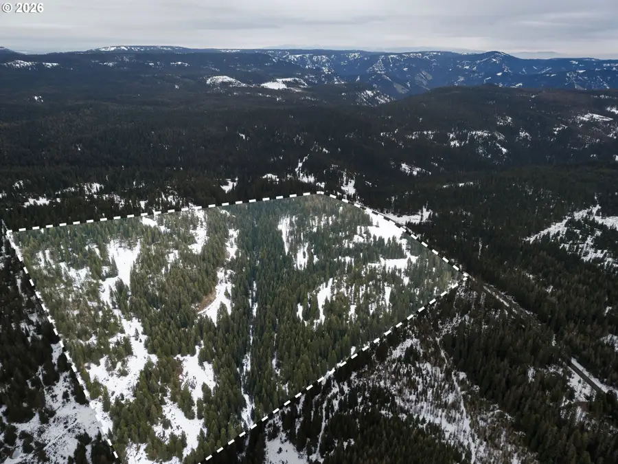 Highway 204, Weston, OR 97886 - #3