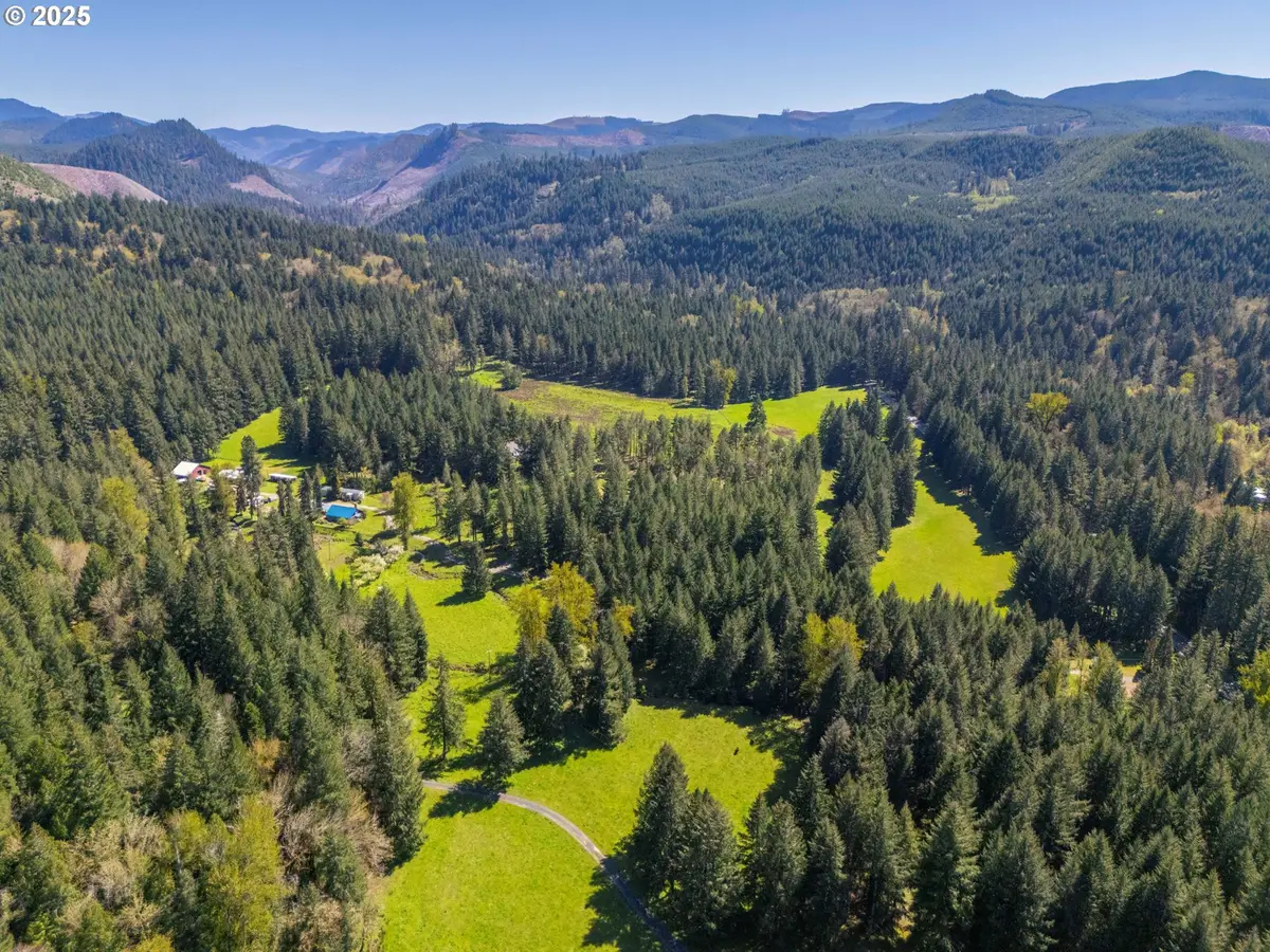 75325 Mosby Creek Rd, Cottage Grove, OR 97424 - #1