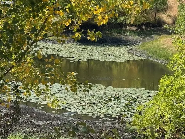 1604 Spring Brook Rd, Myrtle Creek Riddle, OR 97457 - Image #3