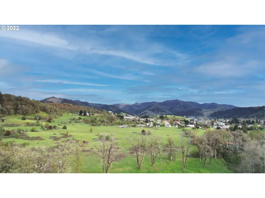 1171 NE Division St, Myrtle Creek, OR 97457 - #3