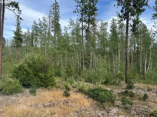 Lot 5 Greyback Mtn Rd #5, Goldendale, WA 98620