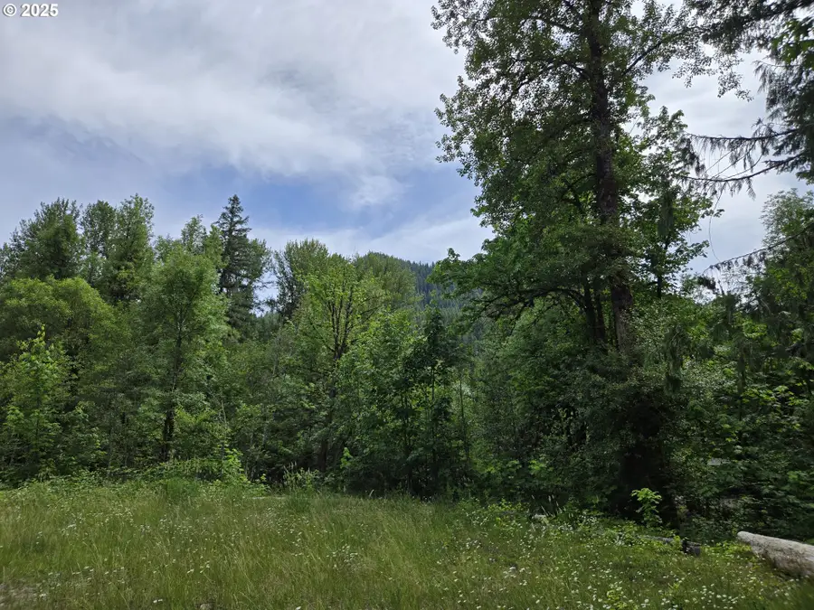 161 Cannavina Pvt Rd #4, Carson, WA 98610 - Image #2