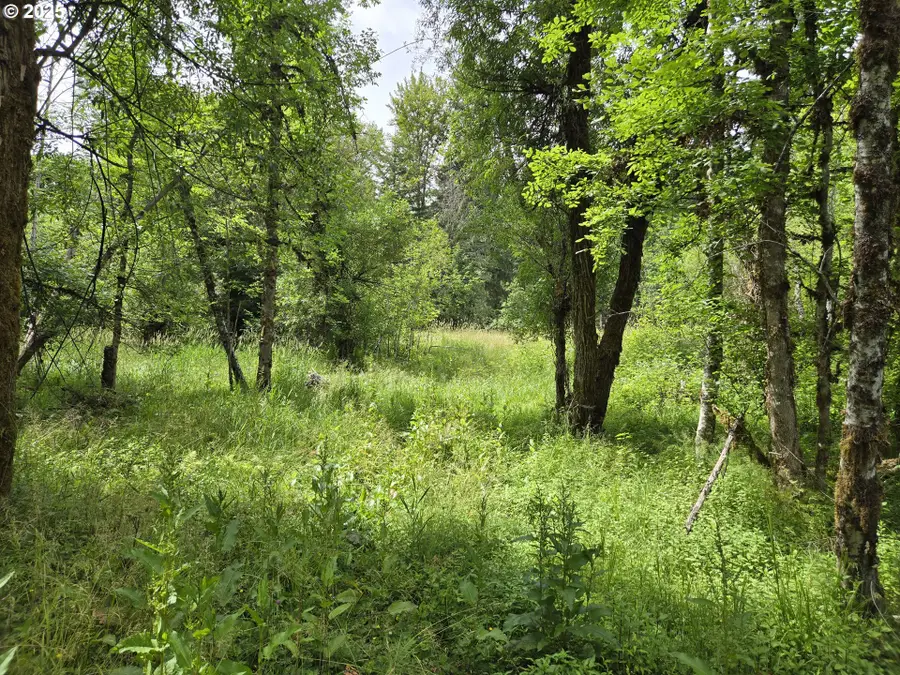 161 Cannavina Pvt Rd #4, Carson, WA 98610 - Image #3