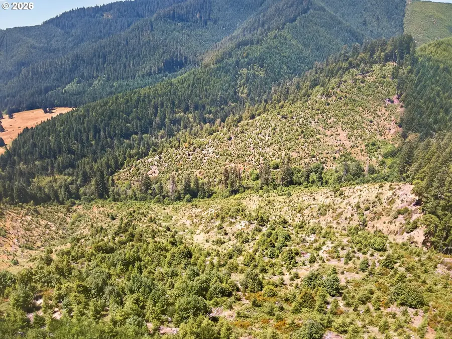 0 Upper Cow Creek Rd, Azalea, OR 97410 - #3