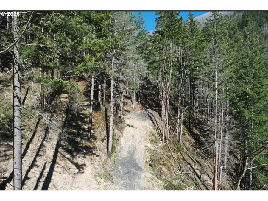 0 Hwy 22, Detroit, OR 97342 - #2