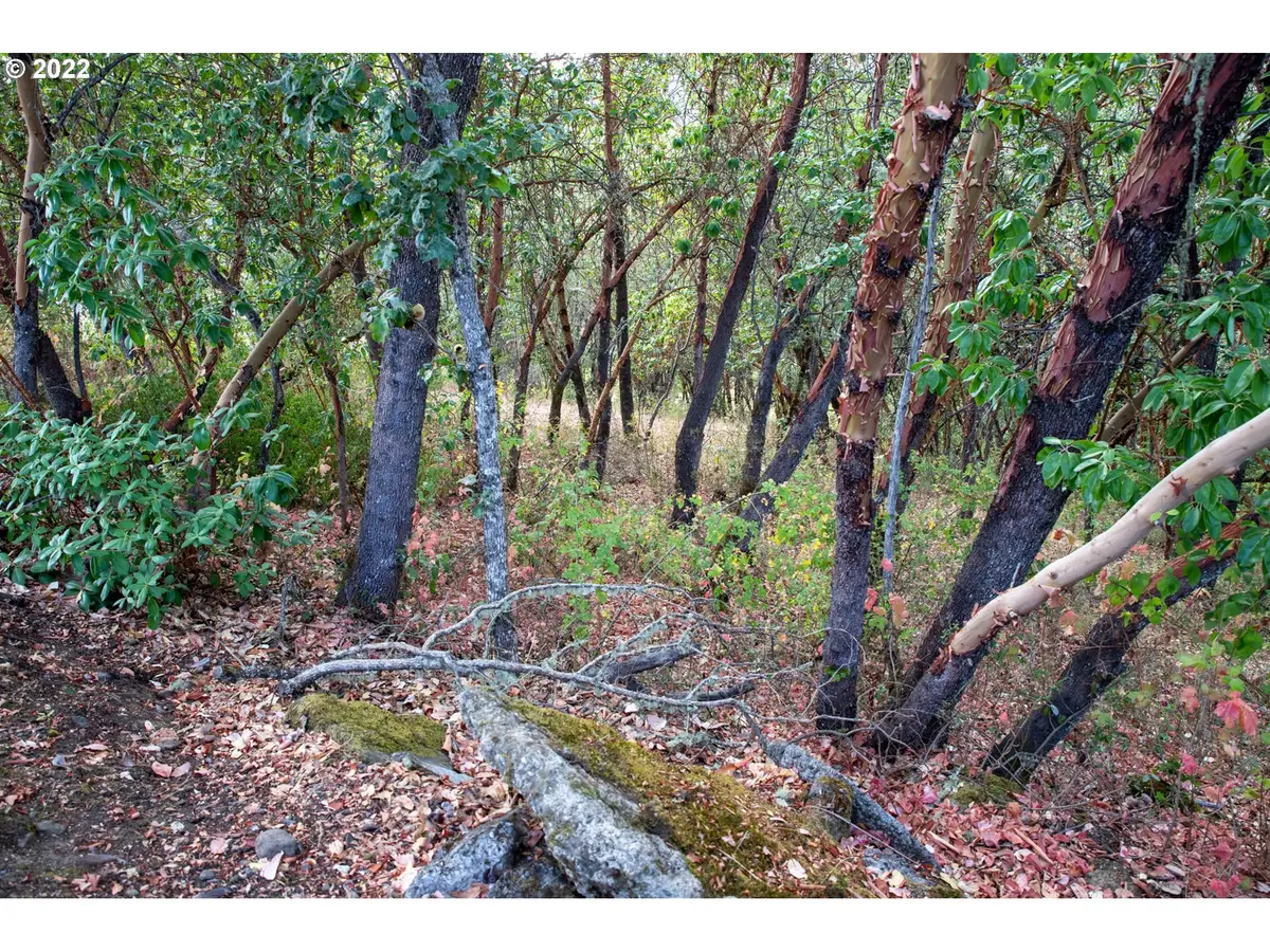 0 North Ct, Riddle, OR 97469 - Image #1