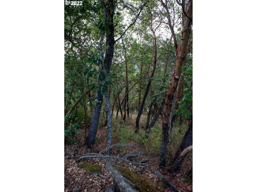 0 North Ct, Riddle, OR 97469 - Image #2