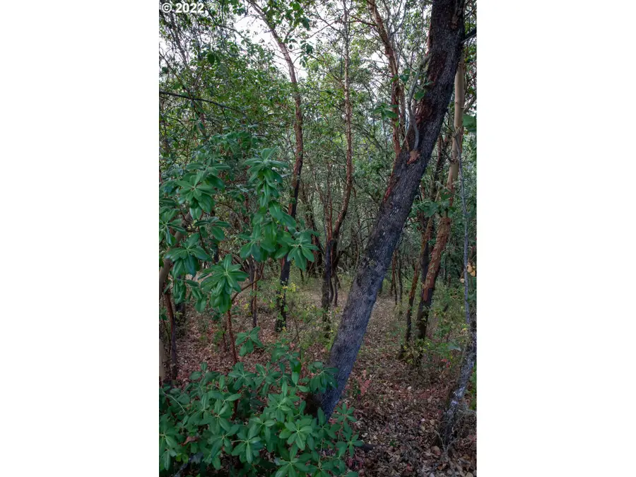 0 North Ct, Riddle, OR 97469 - Image #3